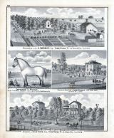 L. C. Wright, James Follet, Elias Core, Residence, Farm Ridge, Deer Park, La Salle County, La Salle County 1876